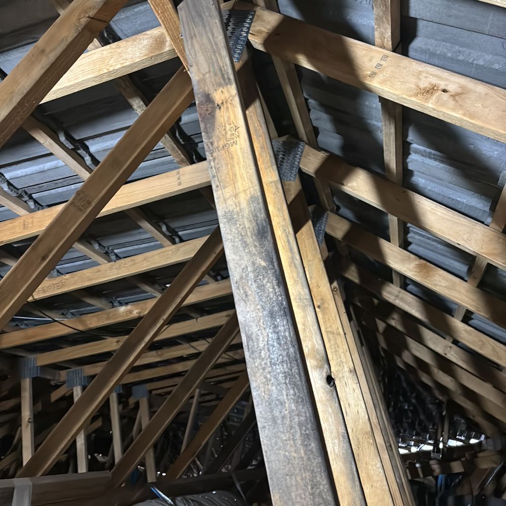 Mould on roof trusses, recorded on a defect investigation in Winter Valley