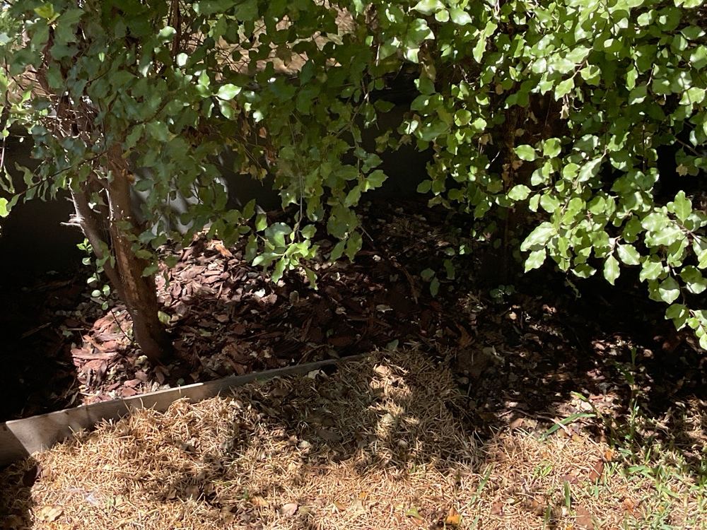 Garden beds, mulch and the weep holes behind them