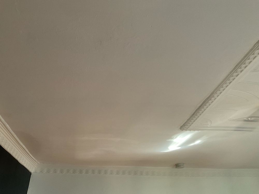 Sagging ceiling plaster, recorded on a pre-purchase inspection in Newport